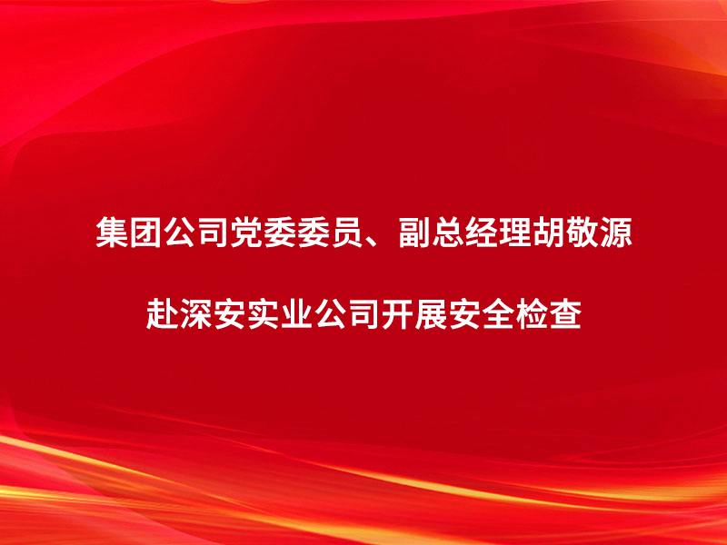 集團(tuán)公司黨委委員、副總經(jīng)理胡敬源赴深...